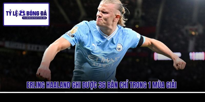 Erling Haaland ghi được 36 bàn chỉ trong 1 mùa giải